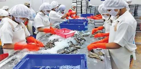 新财政年度3个月缅甸向国外出口虾类3千多吨 创汇1,200万美元